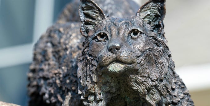 Close-up of Bobcat statue on campus