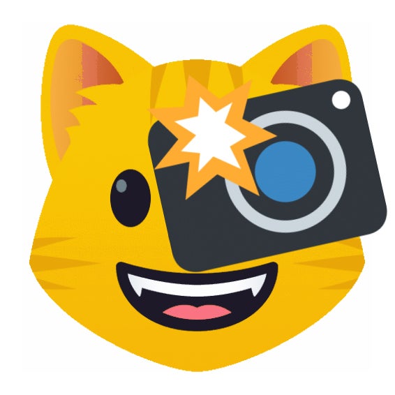 Bobcat with camera
