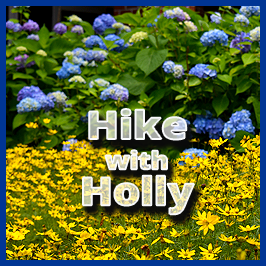 Hike with Holly logo