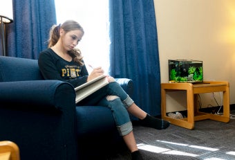 Student seated, studying in Westmoreland Hall common area