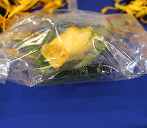 Boutonniere