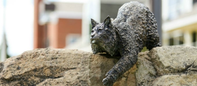 Bobcat statue
