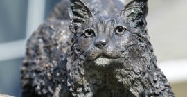 Close-up of Bobcat statue