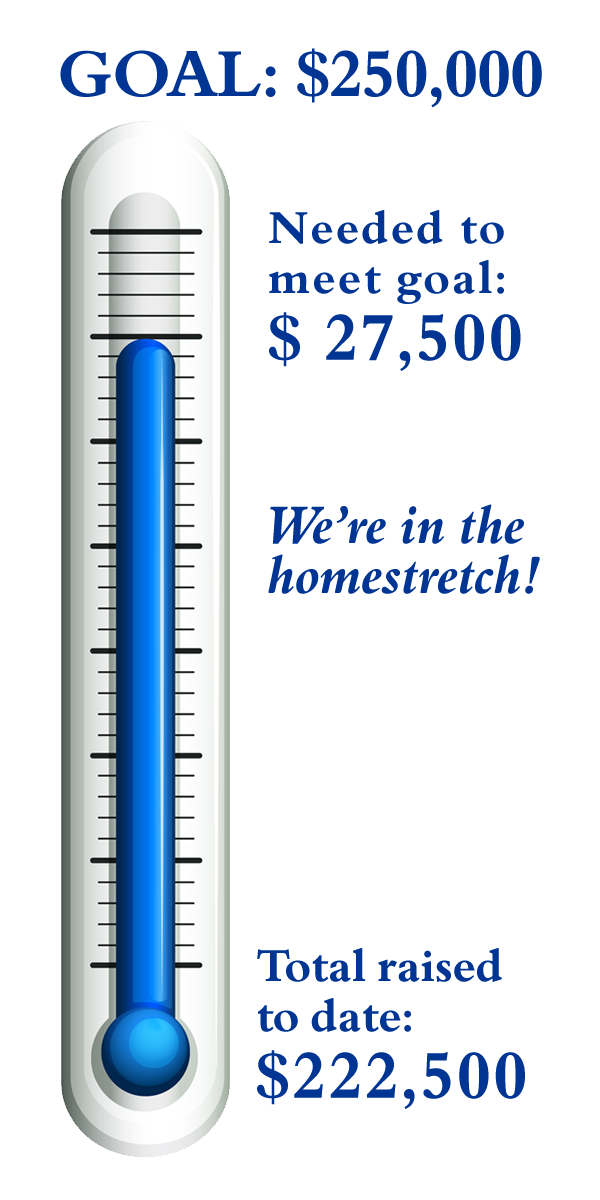 Thermometer image showing progress to $250,000 goal